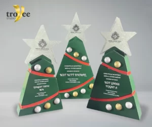 DIG - Chirstmas