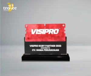Visipro